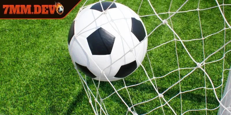 Thấu hiểu bản chất của kèo chấp 2.5 là gì