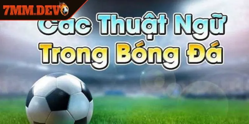 Vì sao phải hiểu thuật ngữ cá độ bóng đá?