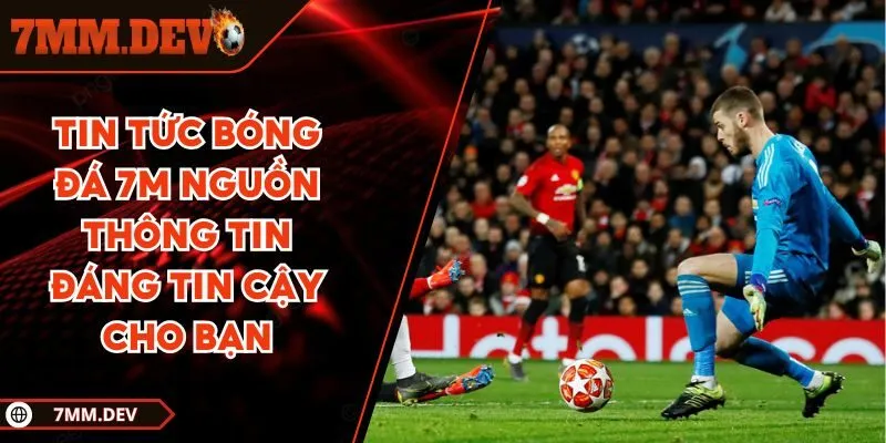 Tin Tức Bóng Đá